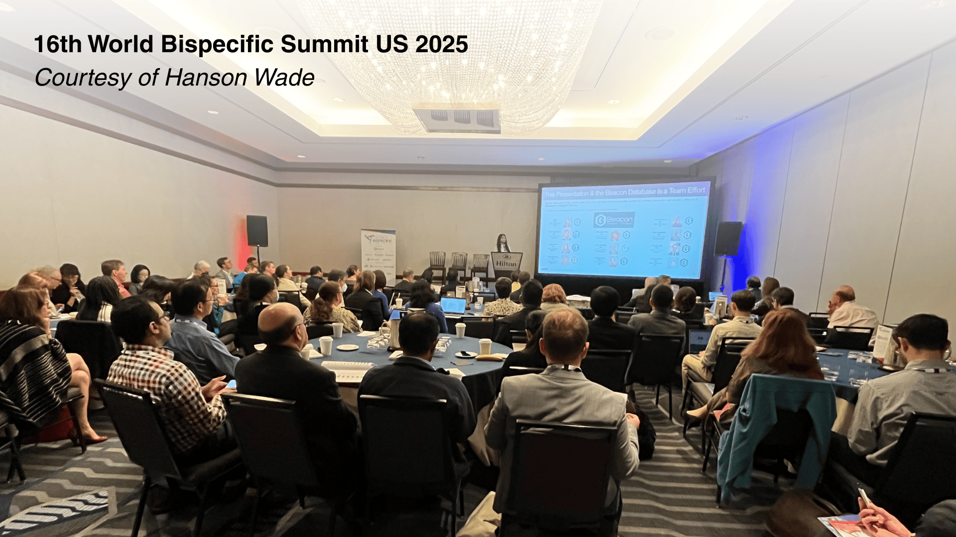 World Bispecifics US